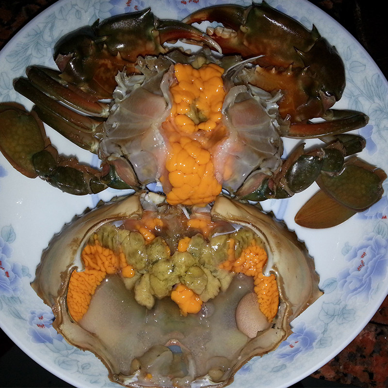 广东特产台山鲜活膏蟹无绳非三门青蟹肥美鲜甜红树林蟹单只300g