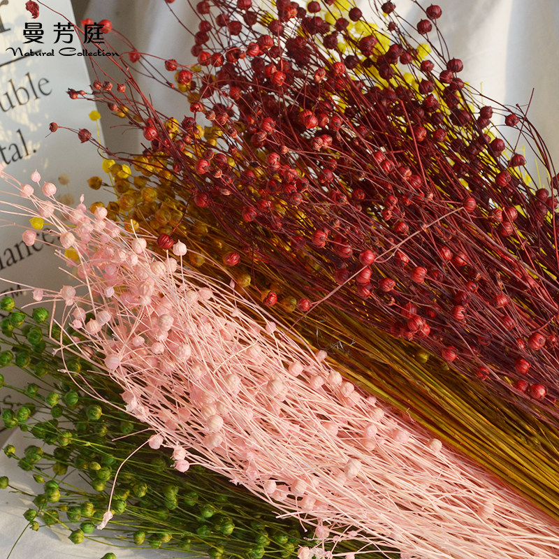 50g相思豆干花花束永生花手工配材家居装饰拍照道具干花