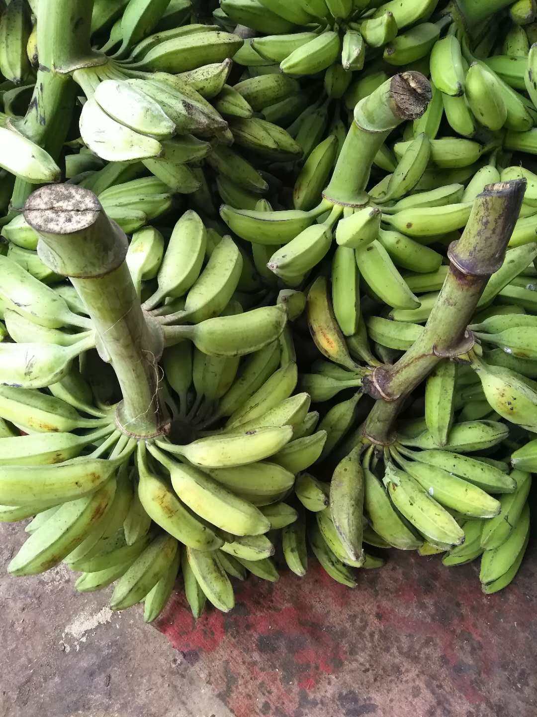 芭蕉广西新鲜香蕉10斤箱包酸甜巴蕉牛蕉非粉香蕉