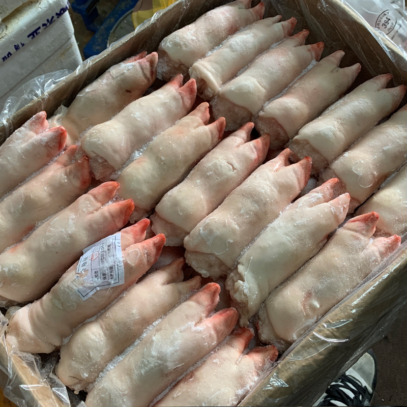 冷冻新鲜猪蹄带筋猪前蹄生猪蹄20斤40个左右小香猪生鲜猪手