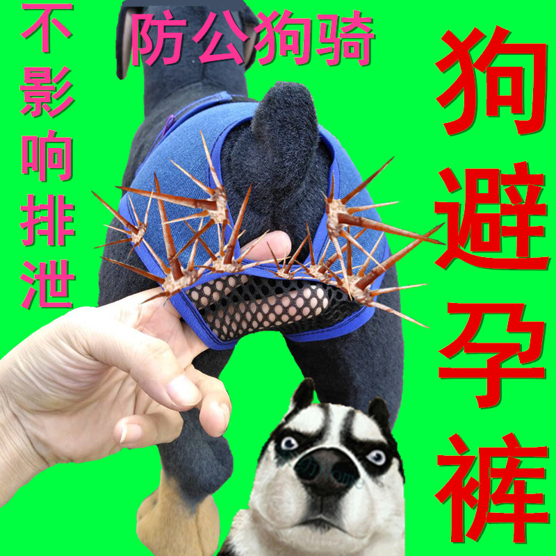 母狗避孕裤宠物防骚扰卫生裤狗狗生理裤子狗衣服母猫避孕