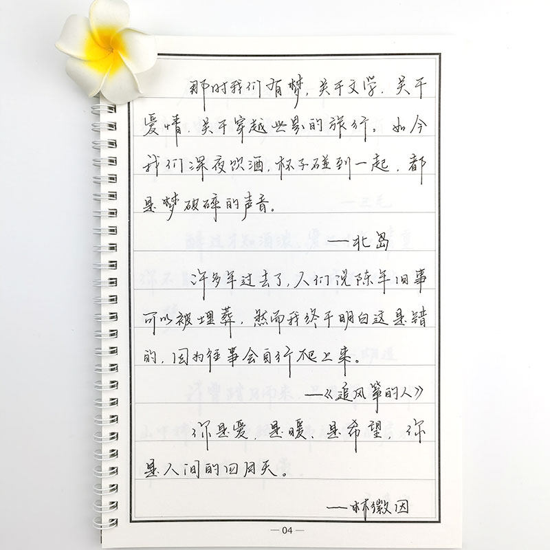 字帖练字初学者钢笔手写体美文心灵美心灵句子优美练字本