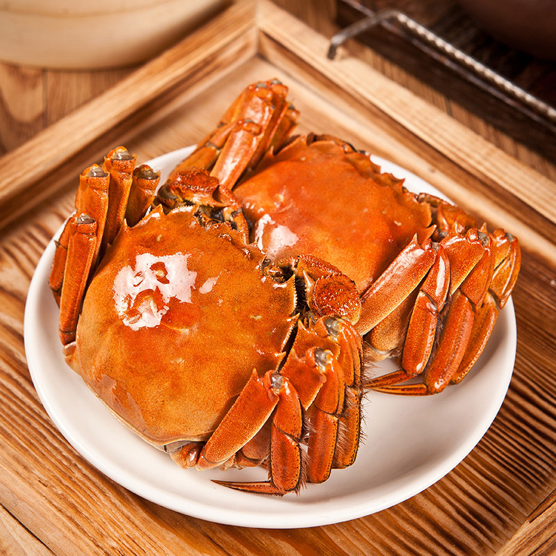 活蟹10只全母螃蟹鲜活正宗阳澄湖大闸蟹官方旗舰大闸蟹