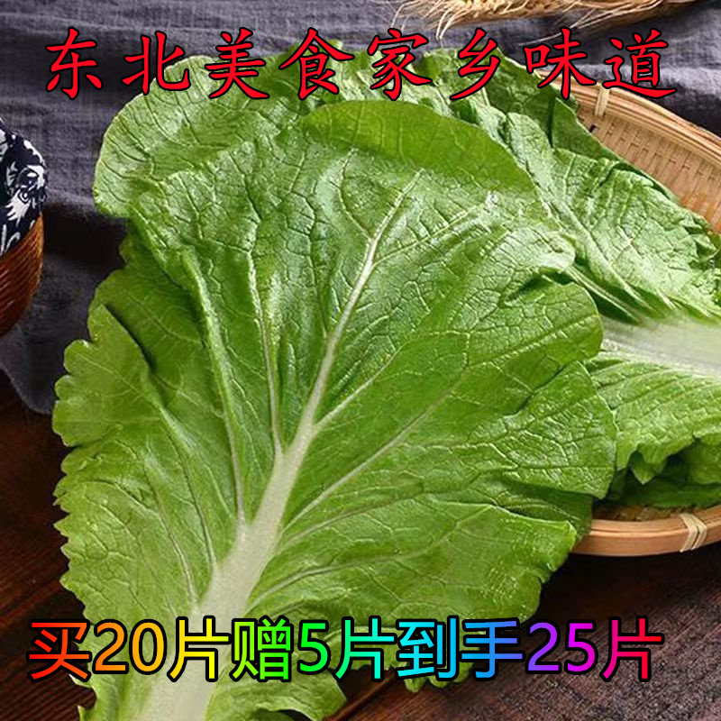 东北打包叶 东北大白菜叶饭包 东北菜包饭菜叶 大白菜叶 菜叶饭包