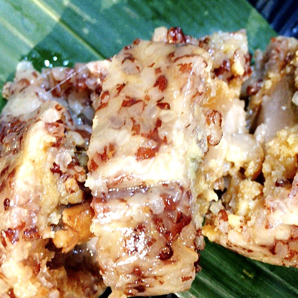 三江广西特产林溪乡糯米粽肥猪肉板栗斧头10个装糯米