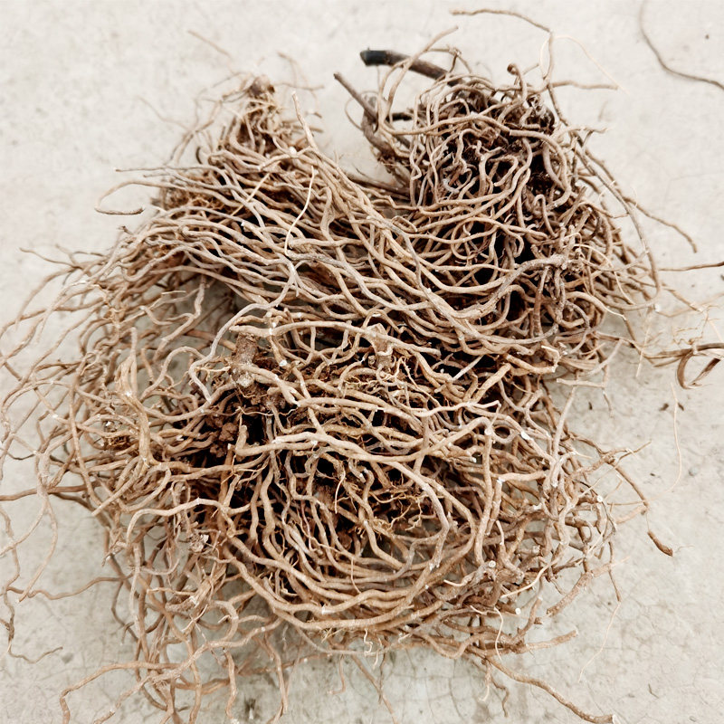 特级莲根包细辛四叶野生500g晒干新鲜四大天王中药材其他药食同源食品