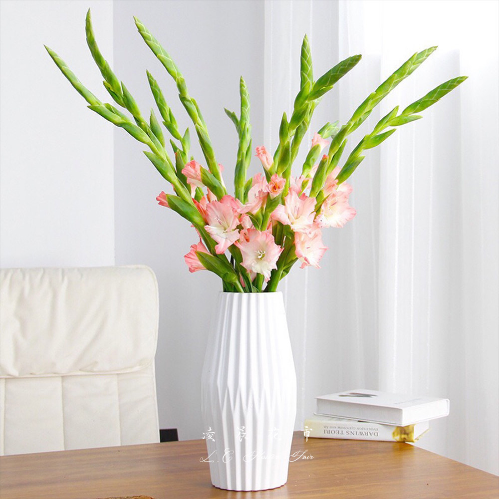 剑兰鲜花水养家用插花办公室送礼花束低价直批包鲜花速递同城