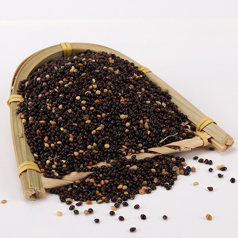 鹦鹉5斤装黑鸽粮纯粮谷子中小鸟食饲料虎皮鸟食