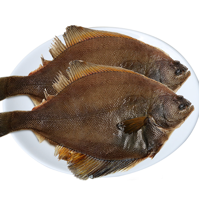 新鲜碟鱼海鲜鲜活水产冷冻海鱼深海黄金鲽鱼其它