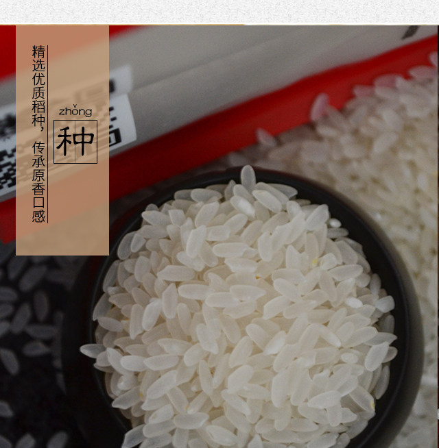 大米2021年新米东北黑龙江龙江龙十八长粒香米延寿大米