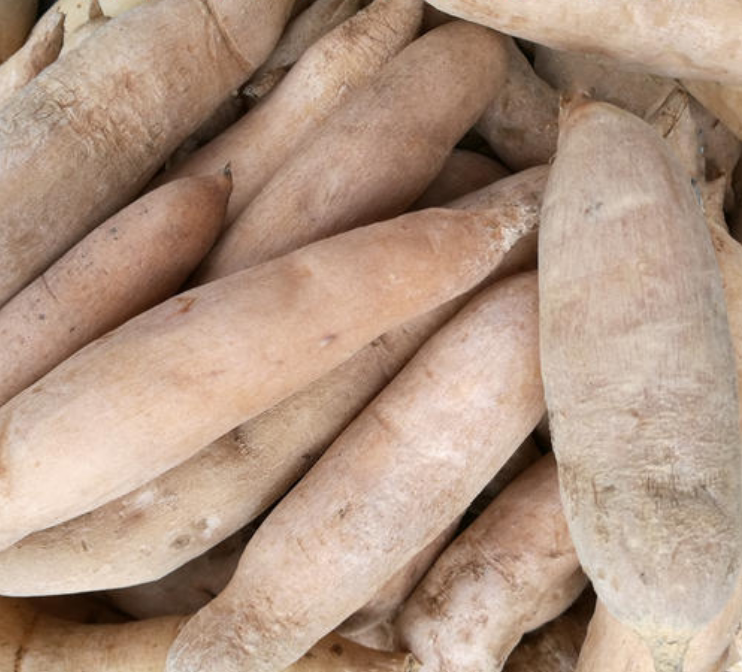 广西现挖新鲜天门500g包邮野生鲜货生货可泡天门冬