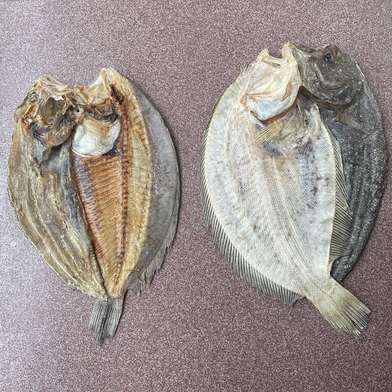 广东特级汕尾大地鱼干海鱼海鲜干货商用汤料鱼干