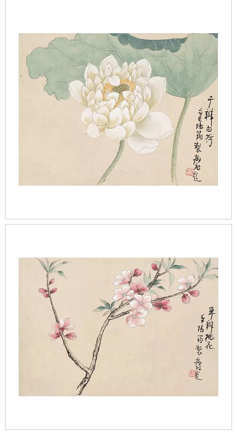 章培筠白描花鸟作品 中国美术学院中国画系藏品集 共78幅 新华书店