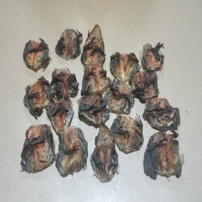 雪蛤皮纯长白山正品品林肚皮去腿脊骨500克林蛙皮其它雪蛤制品