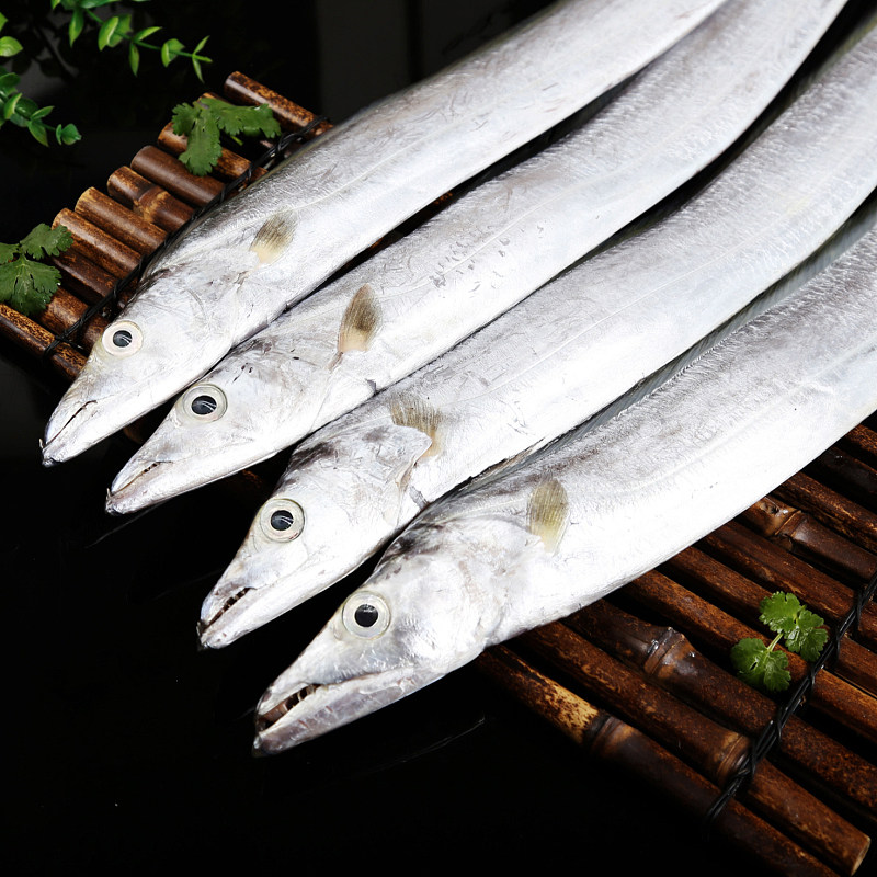 带鱼野生5斤无冰整条特级舟山小眼海鲜水产带鱼