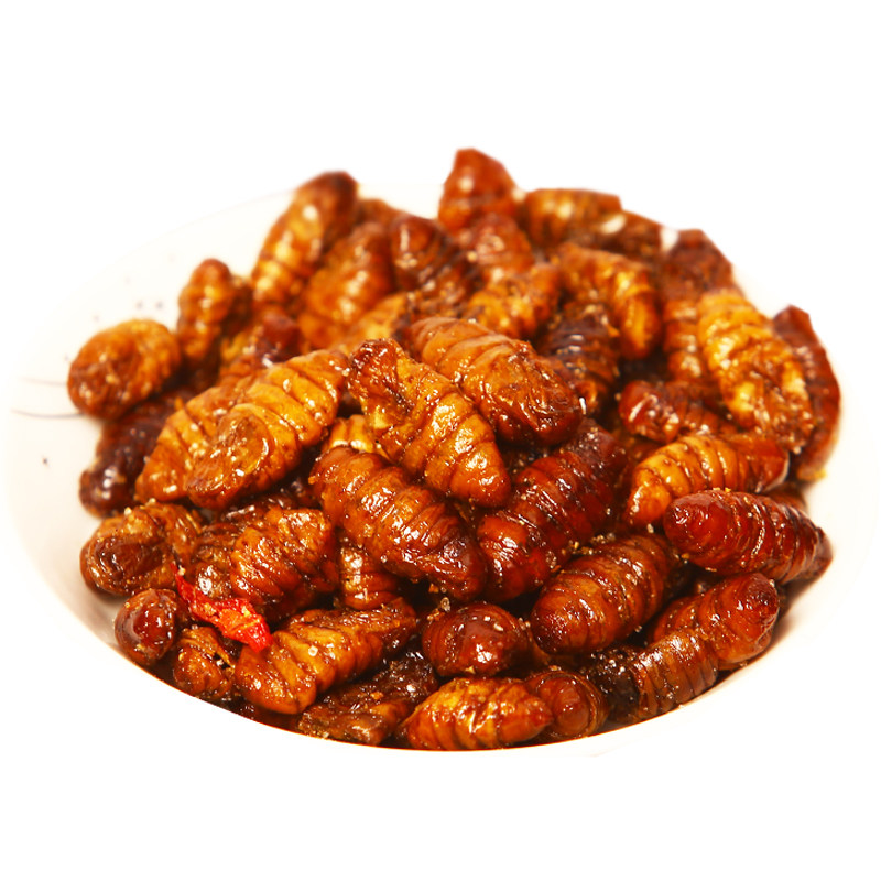 三瓶装五香蚕蛹香酥油炸即食金丝蛹黄金蛹桑蚕蛹小蚕蛹虫子美食