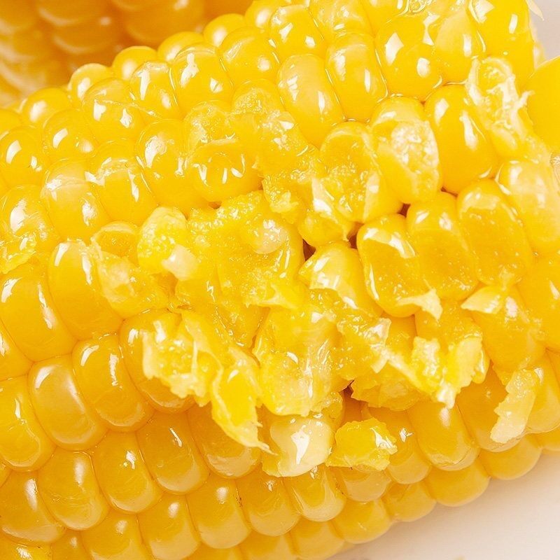 黄糯一等黑龙江玉米棒10根新鲜玉米真空玉米