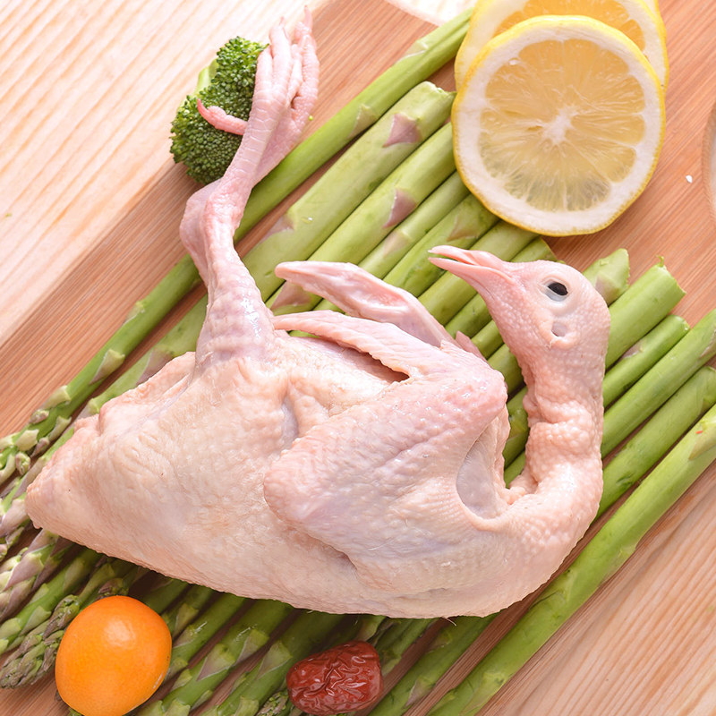 乳鸽鸽子圣华新鲜2只农家散养肉炖煲汤生鲜乳鸽