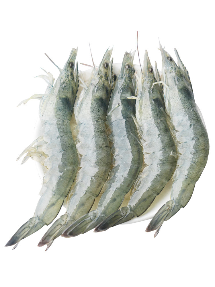 大虾鲜活大青青虾青岛野生海捕虾超大基围50款活虾