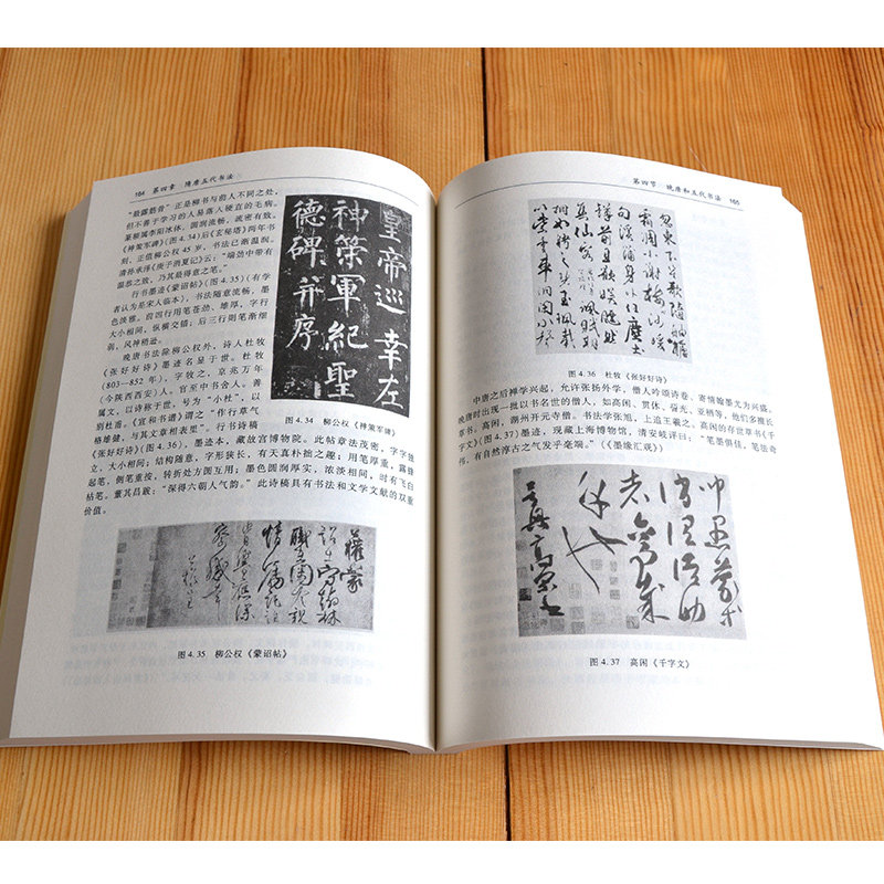 书法中国简史王镛高等教育出版社9787040141733书法史史料书法艺术