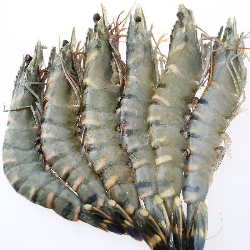 泰国海捕冷冻 虎虾 明虾 大对虾 斑节虾 大青虾 65g/只