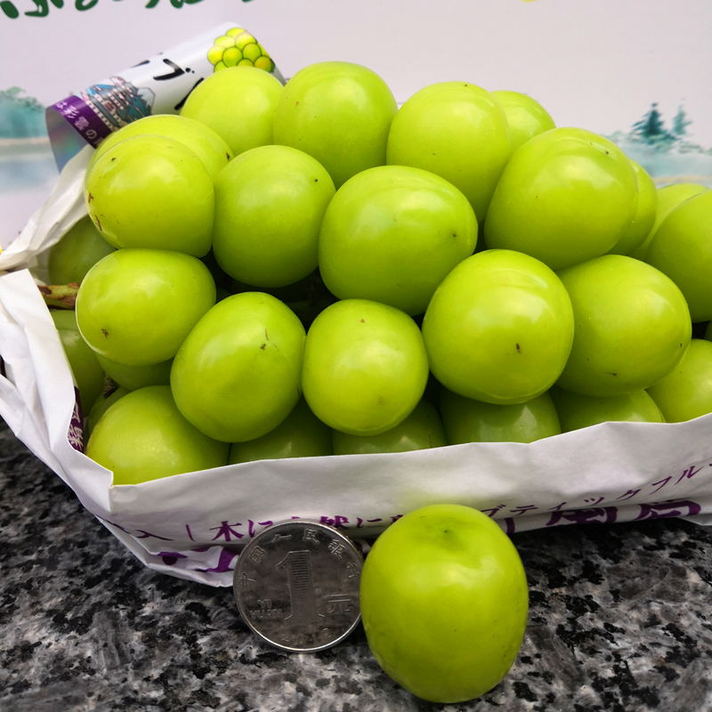 晴王葡萄日本品种新鲜阳光玫瑰3斤2串礼盒葡萄