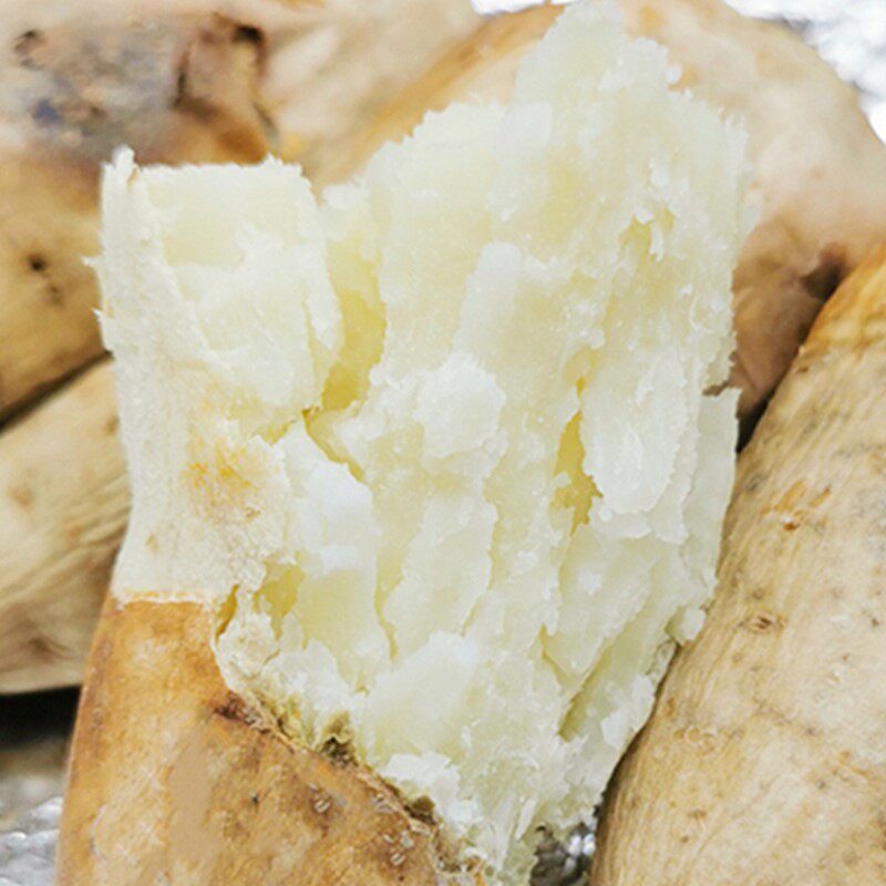 白皮人参5斤新鲜白心红薯沙地板栗农家自种番薯