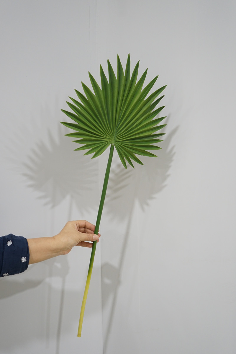 高品质绿色植物婚礼摆件客厅软装叶子大叶仿真葵叶仿真绿植