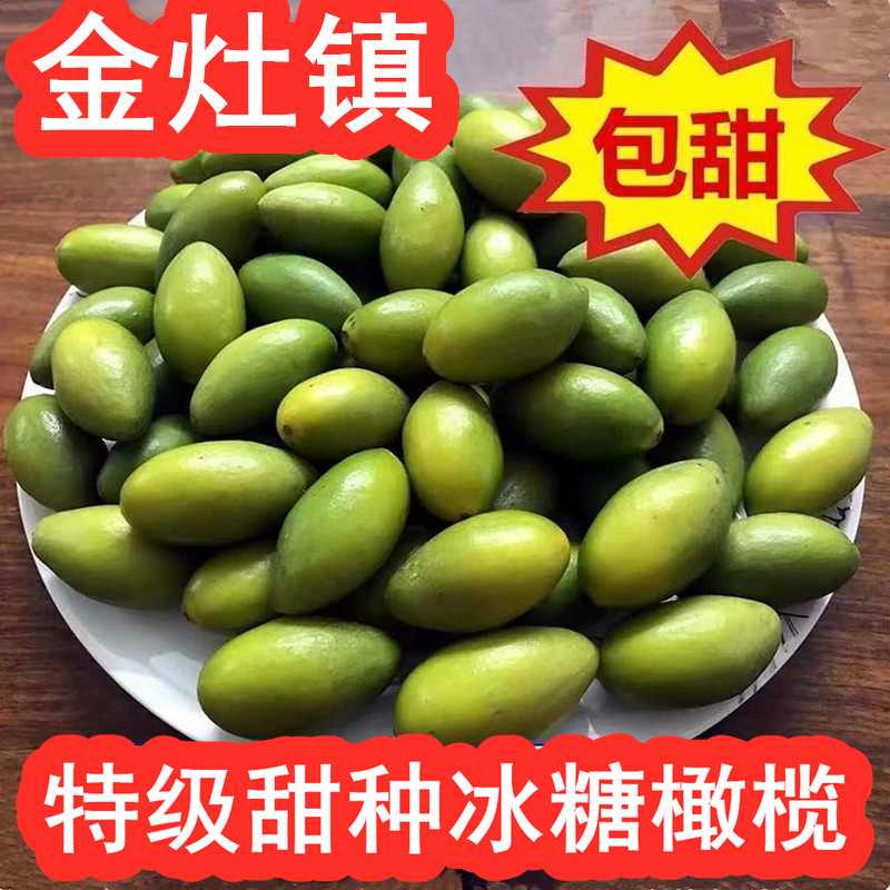 橄榄甜甜金灶镇新品种冰糖生吃酥脆甘甜青翠橄榄