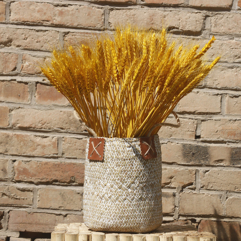 麦穗干花装饰摄影道具开业大麦藤编花篮插花干花