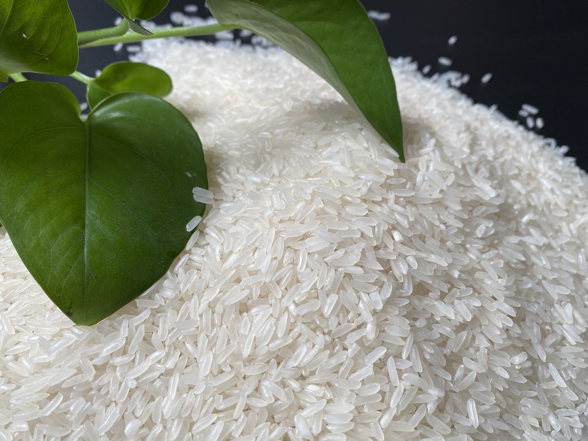 香米吴祥大米25kg农家长粒杂交籼米大米