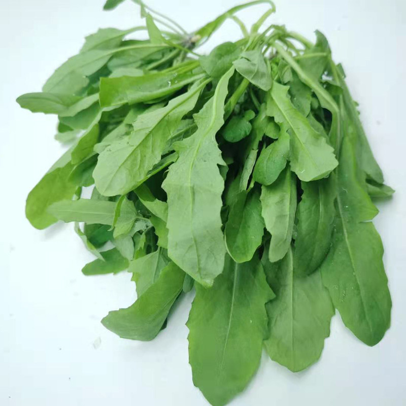 美华新鲜荠菜带根地菜荠混沌饺子春卷包子500g荠菜