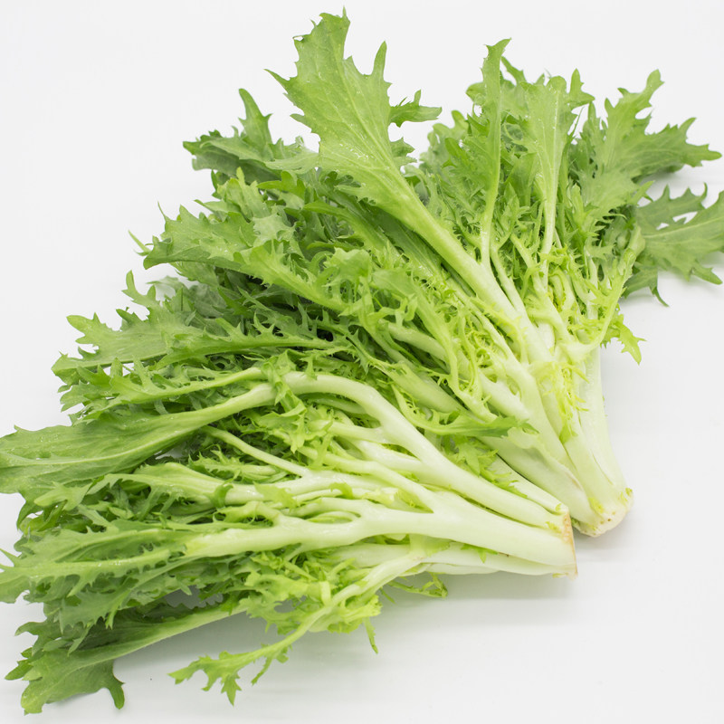 新鲜 苦菊 狗牙菜 苦叶 苦苣 沙拉菜 西餐蔬菜 500g