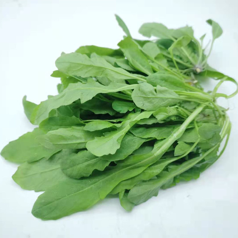 美华新鲜荠菜带根地菜荠混沌饺子春卷包子500g荠菜