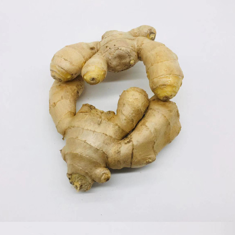 新鲜美啊生姜带皮姜土姜姜母500g生姜