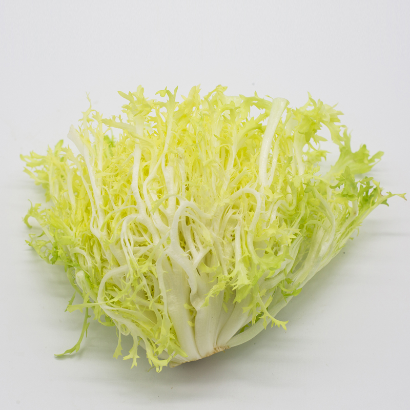 新鲜黄心苦叶 苦菊生菜 狗牙生菜 九芽 沙拉蔬菜 500g图片