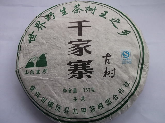 千家特价古树普洱茶生茶寨头春茶九甲纯料制作普洱