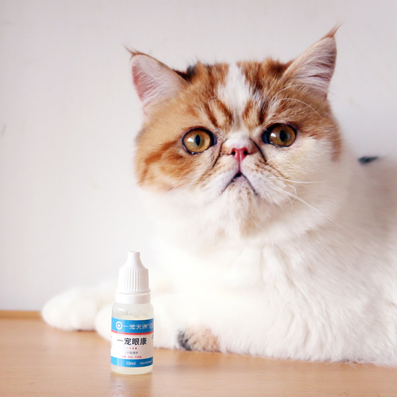 滴眼一宠眼康宠物猫咪狗狗眼药水猫鼻支眼液红肿眼部清洁