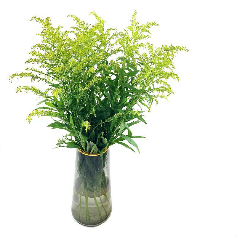 新鲜黄莺云南直发昆明速运配草家用卧室摆件花束节日祝福女神节花