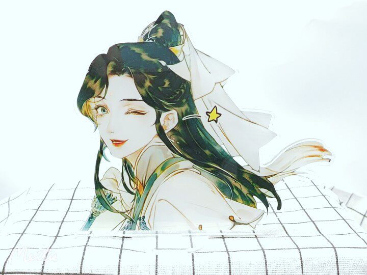 立牌天官赐福动漫画贺玄风玄风师师青玄周边立绘动漫水杯