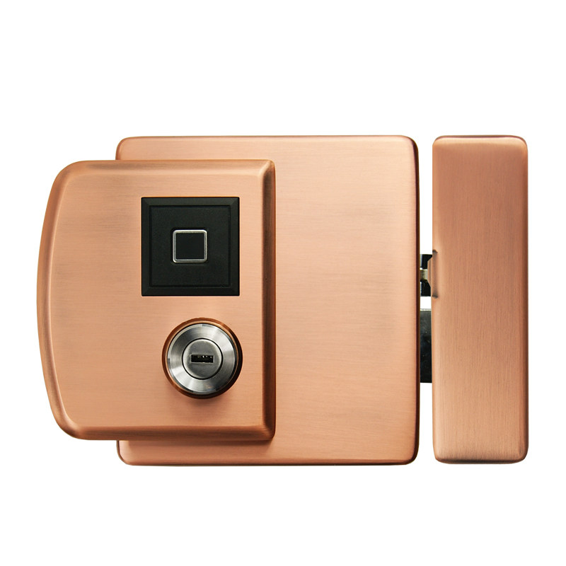 庭院院门防水指纹户外刷卡门锁不锈钢别墅大门智能门锁