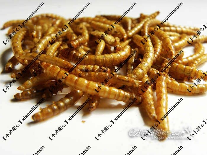 jolly 仓鼠零食 面包虫干30g 祖莉 母鼠最爱 高营养高蛋白 jp252 - 爱