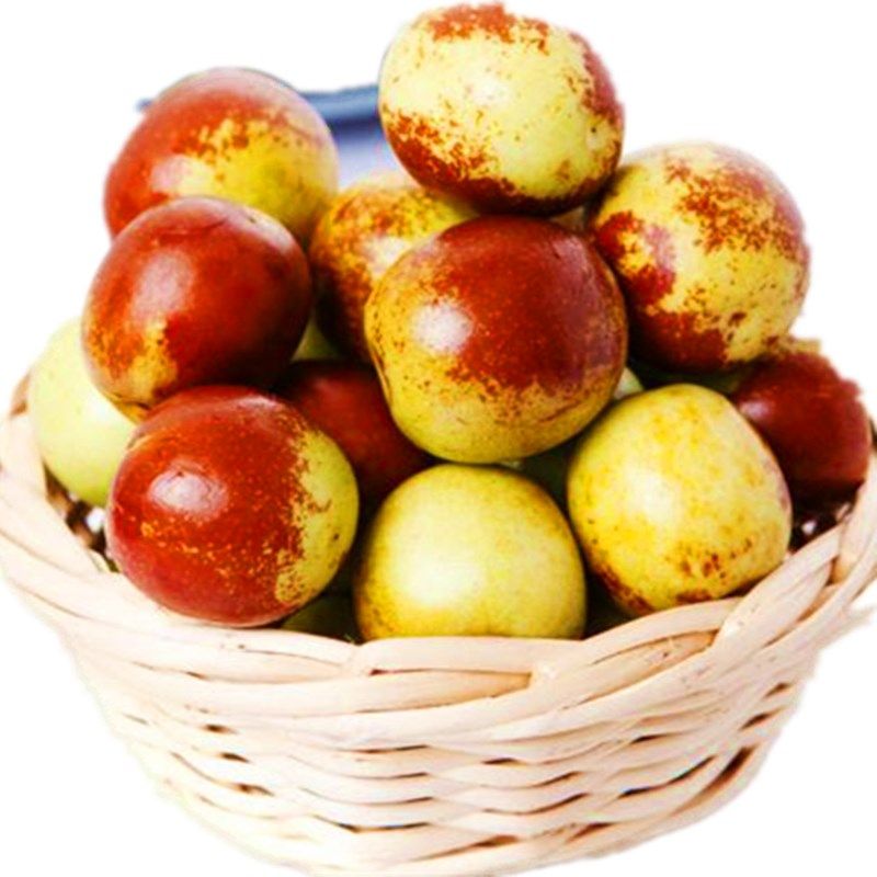 冬枣特级大果5斤现摘山东沾化脆甜东枣当季枣