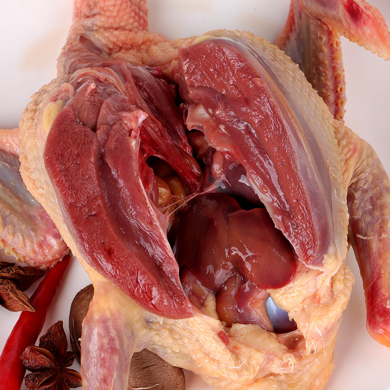 鸽子乳鸽新鲜现杀年老炖汤农家散养生鲜煲汤乳鸽