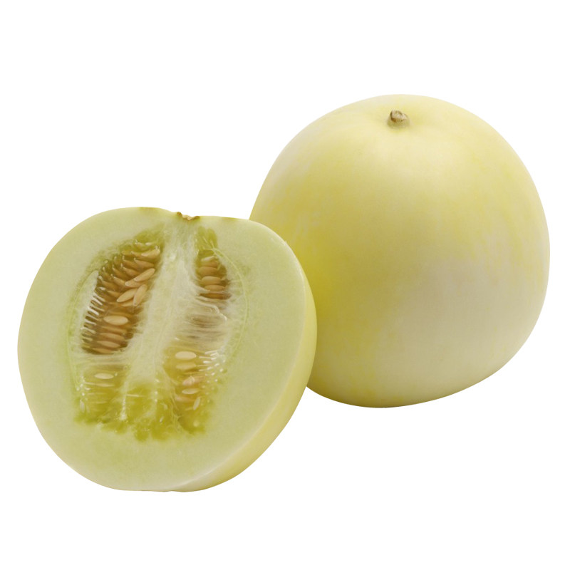 种子改良脆甜八号甜瓜四季播种蜜罐种籽白皮数码产品包装