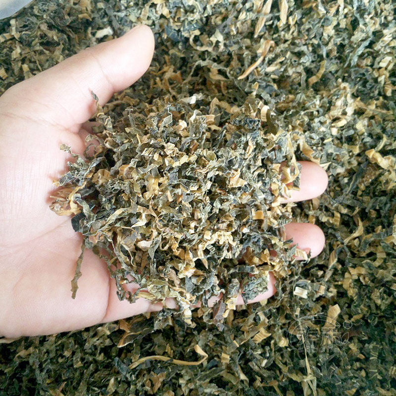 梅菜种籽干菜种子蔬菜秋冬季菜籽广东青菜南方手机支架