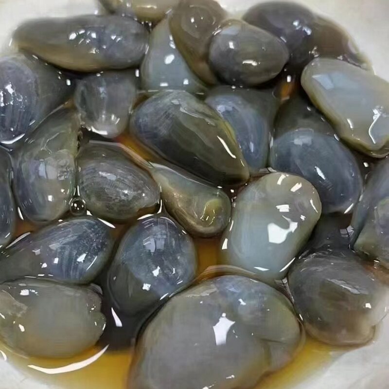 舟山海鲜醉泥螺即罐装黄泥螺无手工古法腌制其它