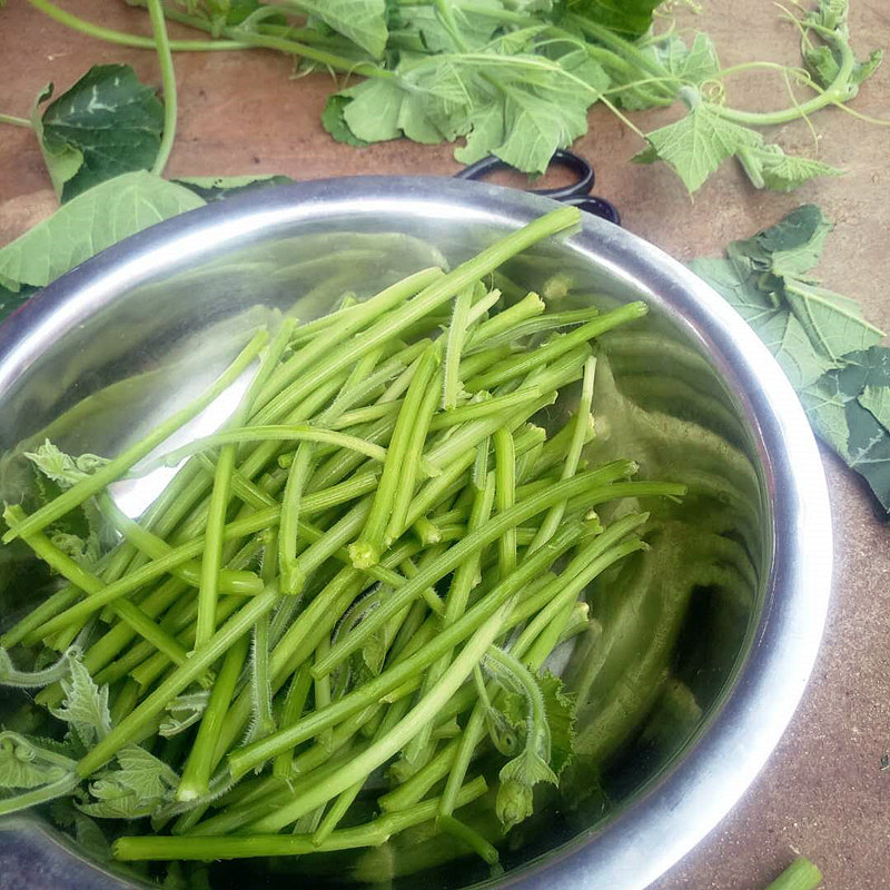 南瓜邵阳农产品新鲜藤梗2斤中段不带精选藤尖叶菜类