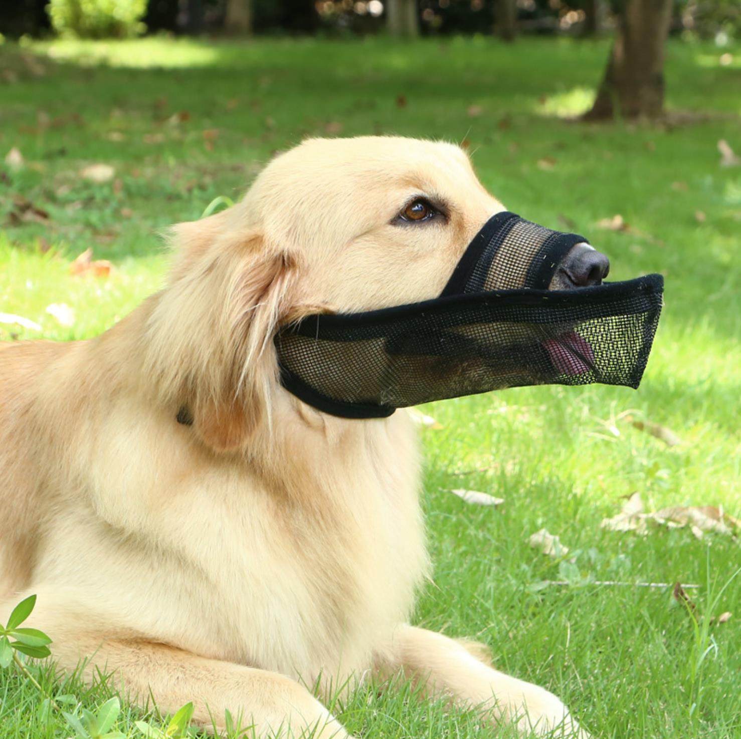 宠物投毒防咬狗叫狗狗泰迪面罩嘴套中大型口罩嘴套