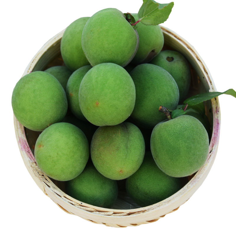 特大果现摘新鲜青梅鲜果水果泡酒野生青梅果酸梅子5斤包邮云南